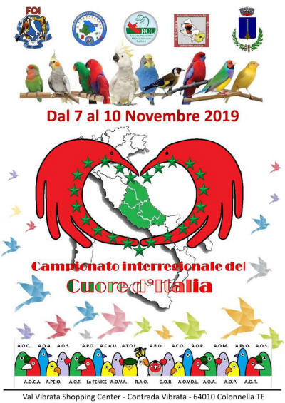 Mostra Fringillia Valconca 2019