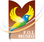 Museo FOI