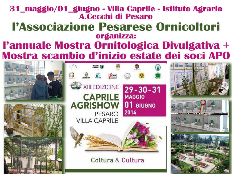 Agrishow 2014