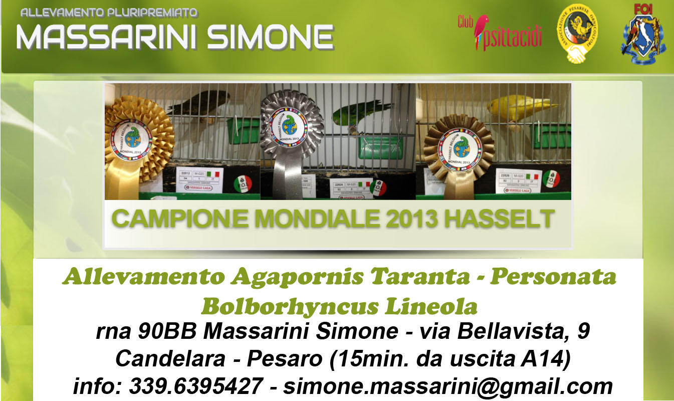 Massarini Simone